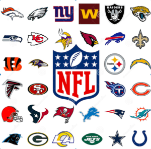 Most Popular NFL team